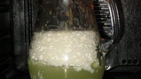 домашний творог и сыворотка