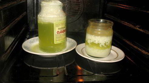 домашний творог и сыворотка