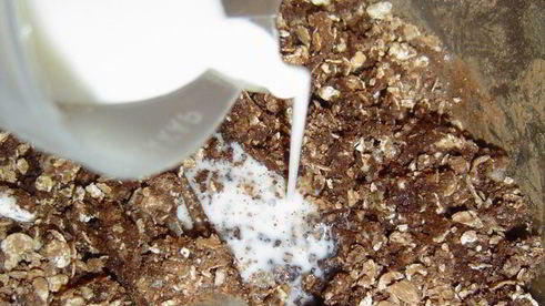 шоколадные конфеты каштаны за 20 минут