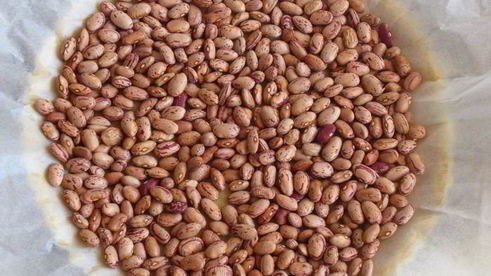 кростата с клубникой и миндальным заварным кремом