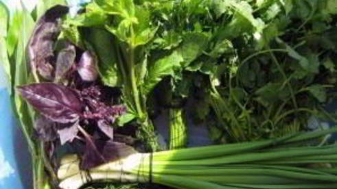 творожный крем с зеленью