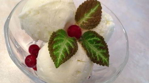 мороженое с лимонным соком