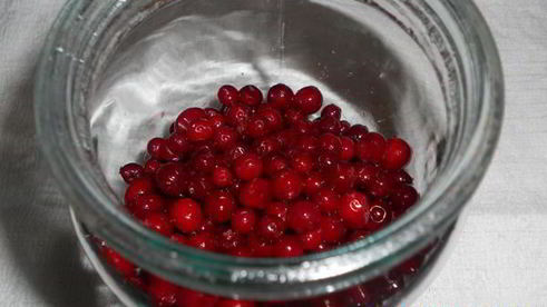 брусничный мусс