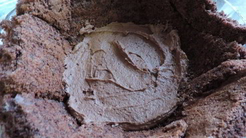 торт-купол цукотто с апельсиновым и шоколадным муссами