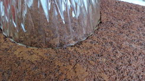 торт-купол цукотто с апельсиновым и шоколадным муссами