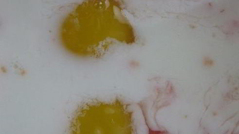 грейпфрутовое суфле