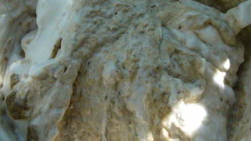 грибное суфле