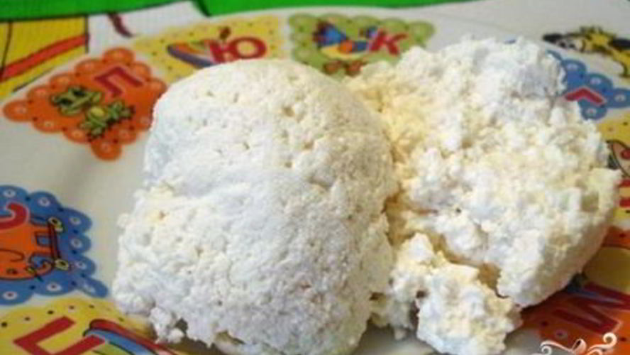 Рецепт творога из козьего молока