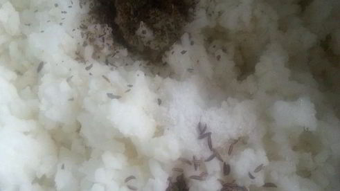 тыквенный рис на halloween