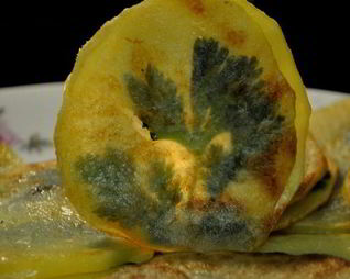 Жареный картофель с петрушкой