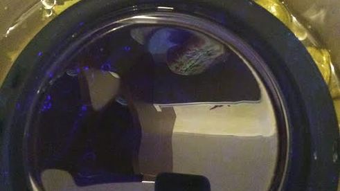 долма — голубцы в виноградных листьях