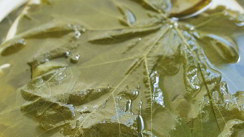 голубцы в виноградных листьях