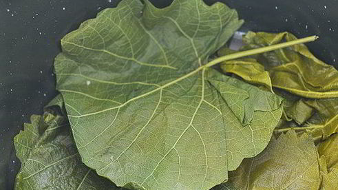 голубцы в виноградных листьях