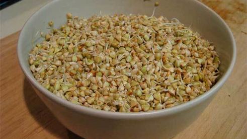 запеченные голубцы с зеленой гречкой и тофу