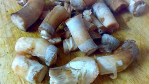 грибы фаршированные