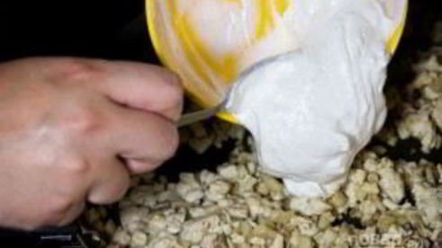 шампиньоны, фаршированные курицей и сыром