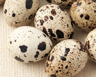 Шампиньоны с перепелиными яйцами