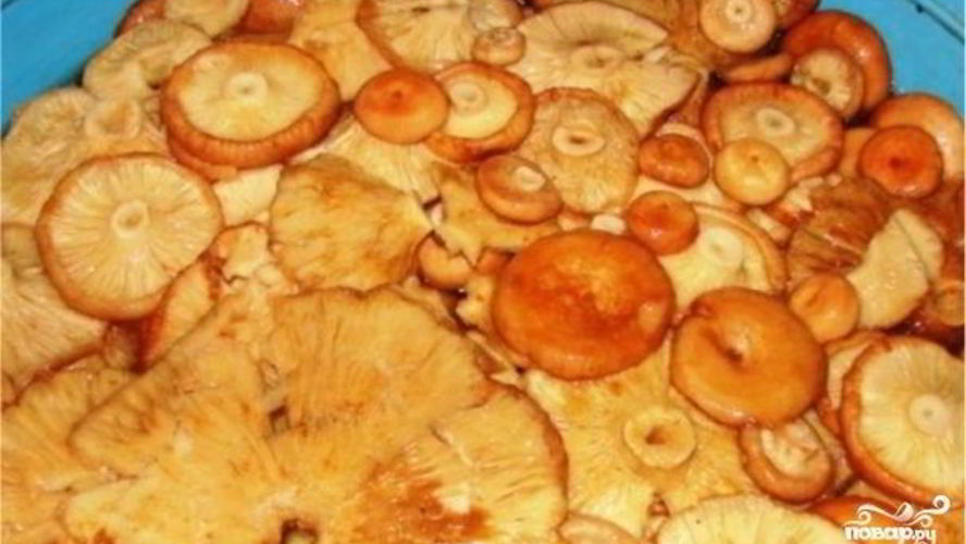 Рецепт волнушек жареных