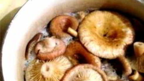 волнушки жареные