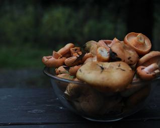 Жареные рыжики