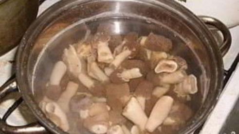 жареные сморчки