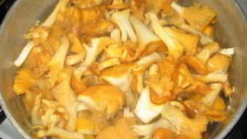 гуляш из лисичек