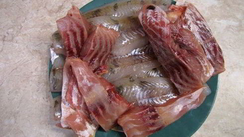 котлеты из судака и сазана в томатном соусе