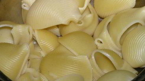 лазанья из лумакони с мясным соусом по-мексикански