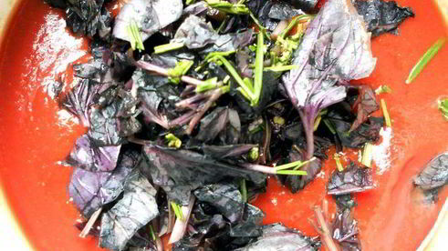 лазанья из ржаных блинчиков с курицей, томатами и базиликом