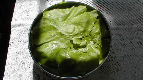 виноградная лазанья