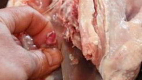 фаршированная курица без костей