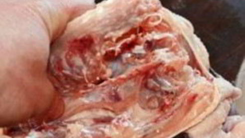 фаршированная курица без костей