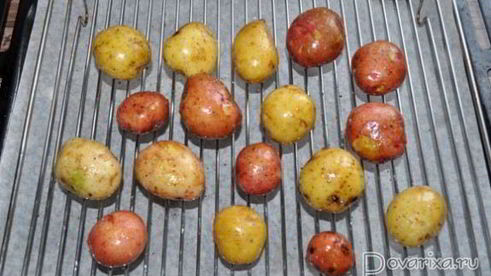 запеченная в мундире картошка