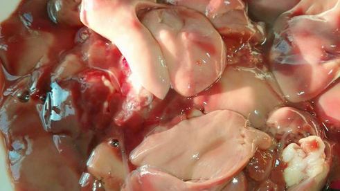 куриная печень с хурмой