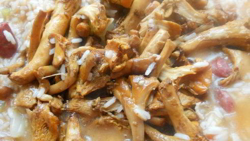 джамбалайя с лисичками