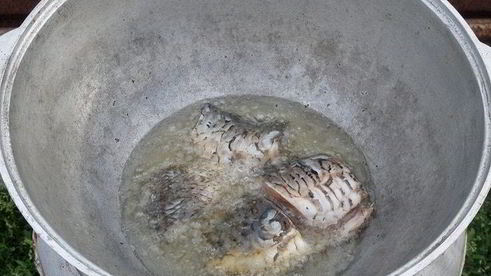 плов дачный с карпом