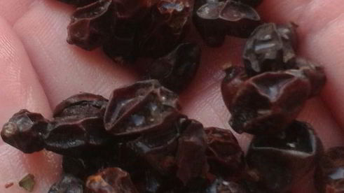 плов из курицы на здоровье