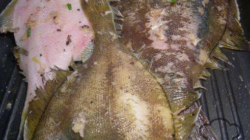 камбала на гриле с болгарским перцем