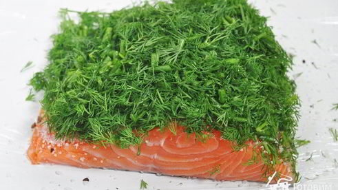 лосось гравлакс