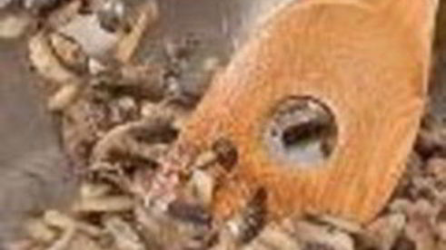 рыба, фаршированная сыром