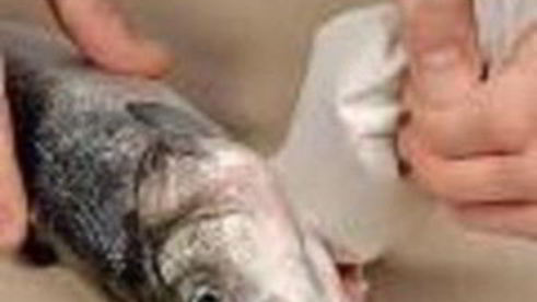 рыба, фаршированная сыром