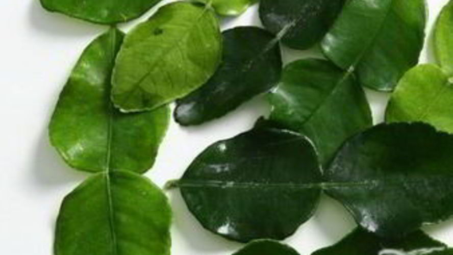 Рецепт рыбы с лимонным сорго