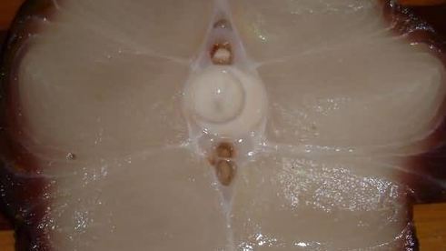 рыба в сметанном соусе с грибами