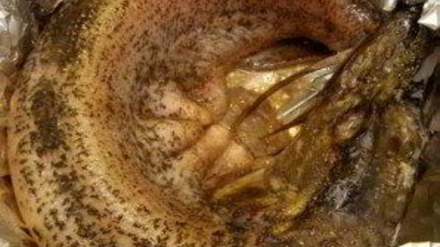 щука в сметане в духовке