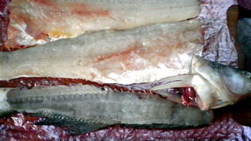 судак в имбирном маринаде на овощной подушке