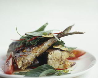 Тушеная скумбрия