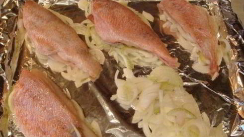 золотая рыбка — окунь под картофельной чешуей