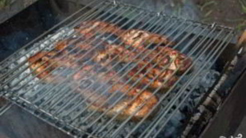 шашлык из форели