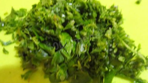 шашлык из свиных ребрышек