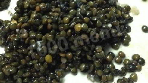 тефтели куриные с чечевицей